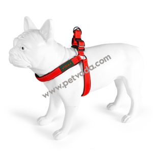 Vodax “Maxi" Göğüs Tasması S "1,5 - 37/50 cm"